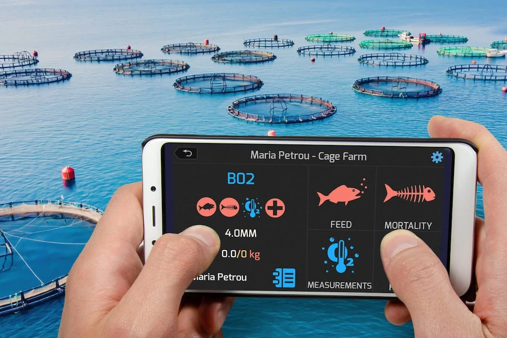 تكوين تطبيقي