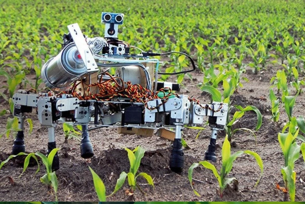 بيئة عمل وتعاون