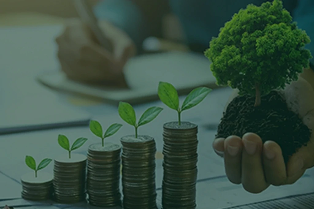 التمويل والشراكات والتسويق